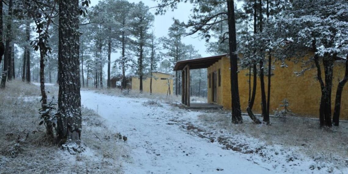 Persistirá el ambiente frío y heladas en la mayor parte de México