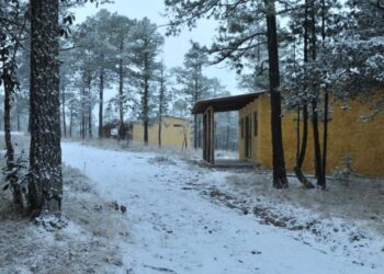 Persistirá el ambiente frío y heladas en la mayor parte de México