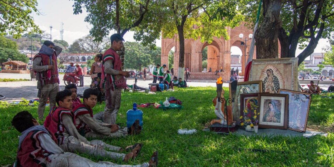 Indígenas rezan en honor a la Virgen María debajo de árboles sagrados en Chiapas