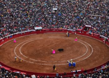 AMLO propone someter a consulta popular corridas de toros