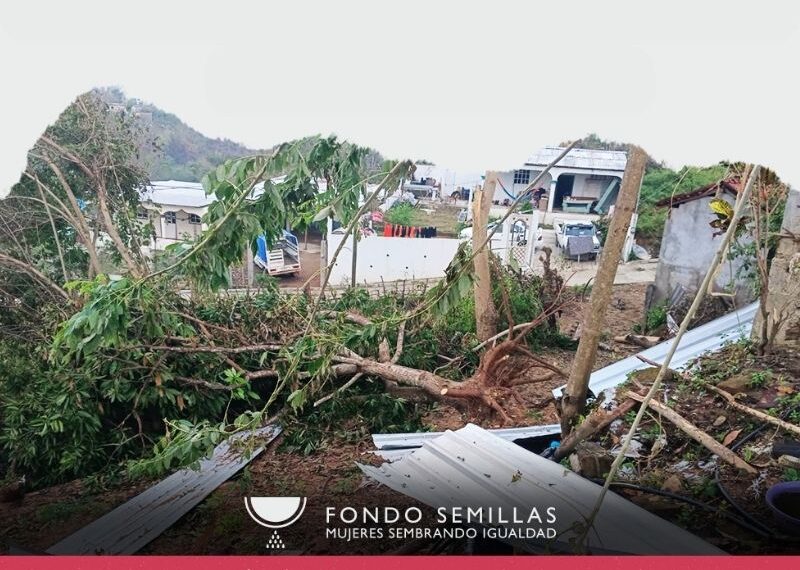 Fondo Semillas lanza la campaña #MujeresReconstruyendoGuerrero