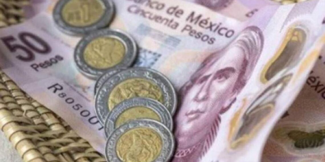 Salario mínimo aumentará a 249 pesos en 2024, revela AMLO