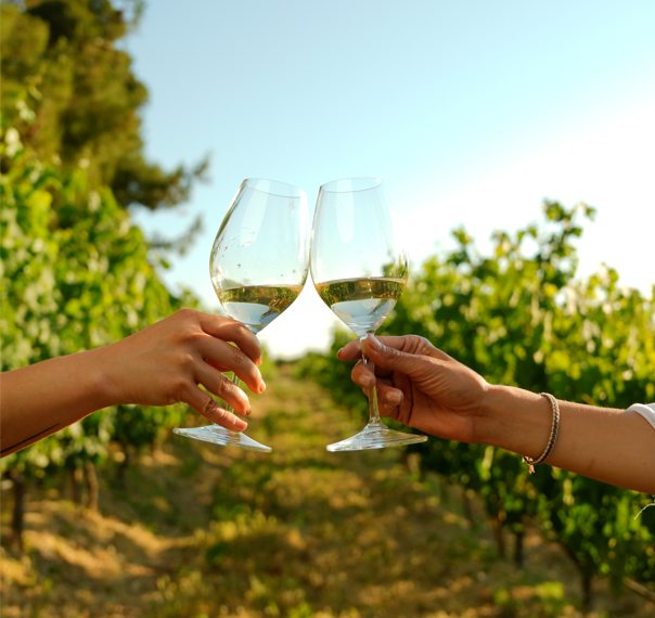 Baja California se prepara para un 2024 lleno de imperdibles eventos vitivinícolas