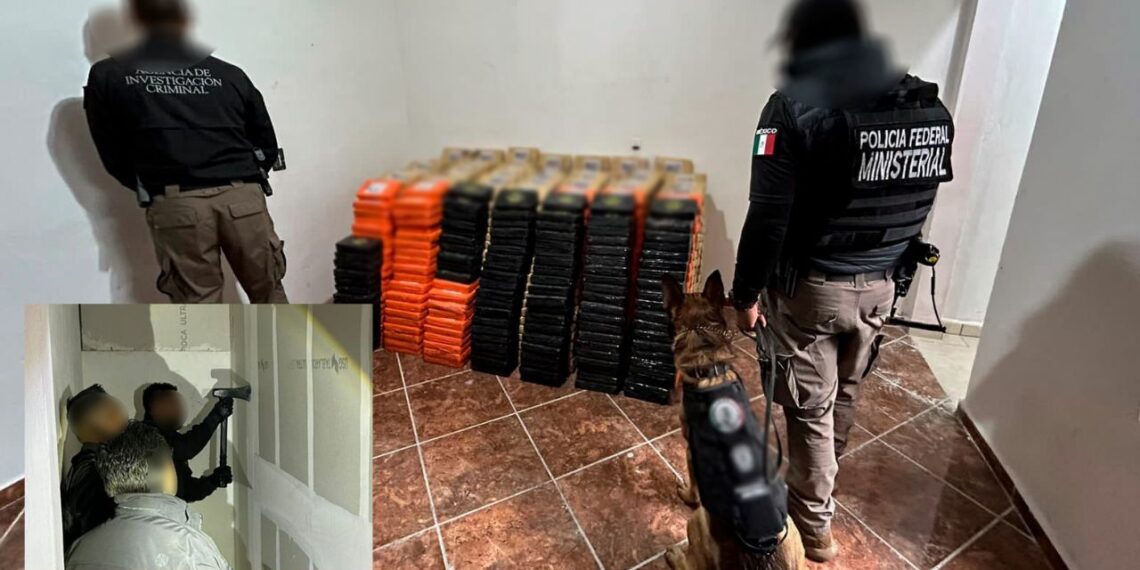 FGR incauta tonelada y media de cocaína y armas en un domicilio de Hidalgo
