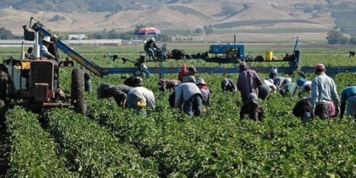 Fallece bebé ahogada en estanque de jornaleros en Sinaloa