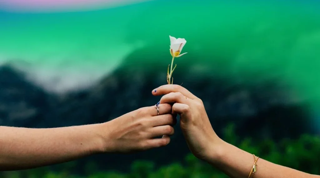 Food for Soul hace visible el mercado Wellness en México