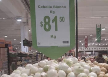 Cebolla, el precio más alto en 26 años… ¡Adiós a los aros!