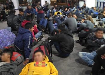 Tras 2 operativos en Veracruz, rescatan a 156 migrantes de vehículos de carga