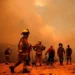 Actualizan número de muertos en Chile por incendios forestales; suman 122 víctimas