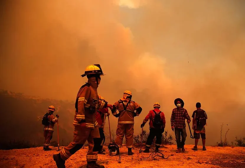 Actualizan número de muertos en Chile por incendios forestales; suman 122 víctimas