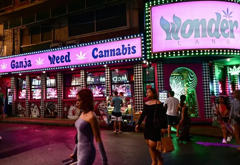 Tailandia volverá a prohibir la mariguana; se vende hasta en puestos ambulantes