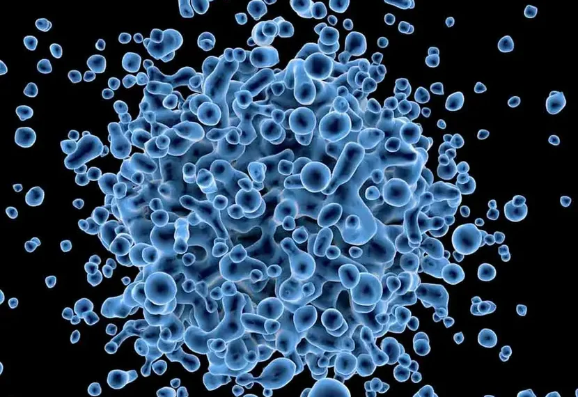 Confirman el primer caso humano mortal de viruela de Alaska