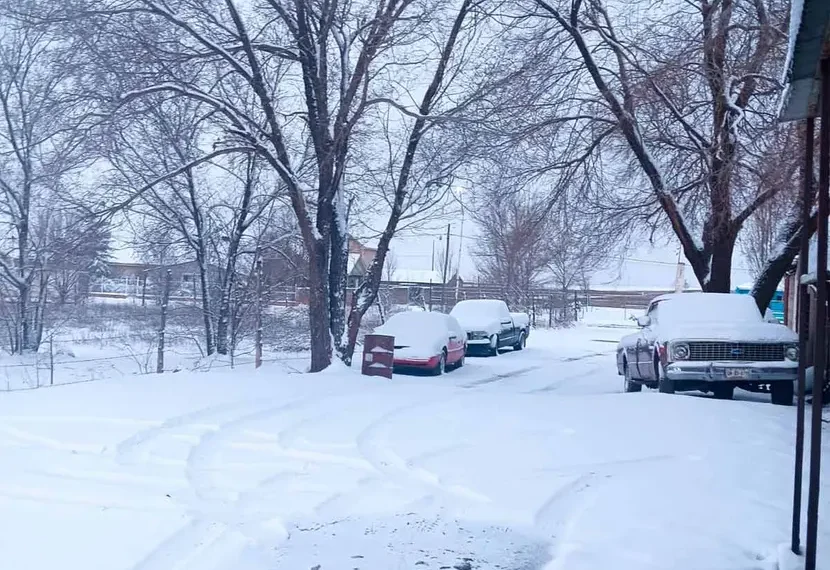 Tormenta de nieve provoca cierre de carreteras en Chihuahua