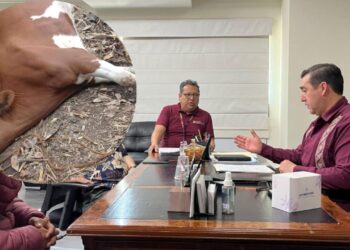 Investigan muertes de reses por envenenamiento en Hidalgo