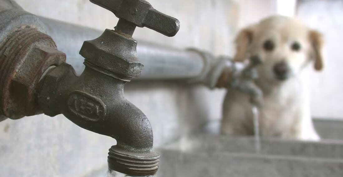 ¡Huixquilucan al borde de la sequía! El Grito silencioso de nuestros recursos hidricos