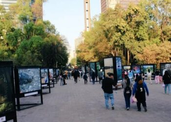 Gran éxito tiene la exhibición fotográfica “Esto es Tamaulipas” en el Bosque de Chapultepec