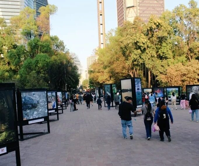 Gran éxito tiene la exhibición fotográfica “Esto es Tamaulipas” en el Bosque de Chapultepec