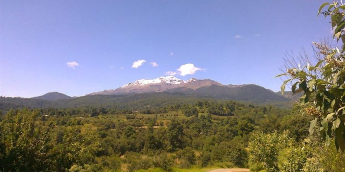 Presuntos talamontes asesinan a tres guardabosques y hieren a uno en Puebla