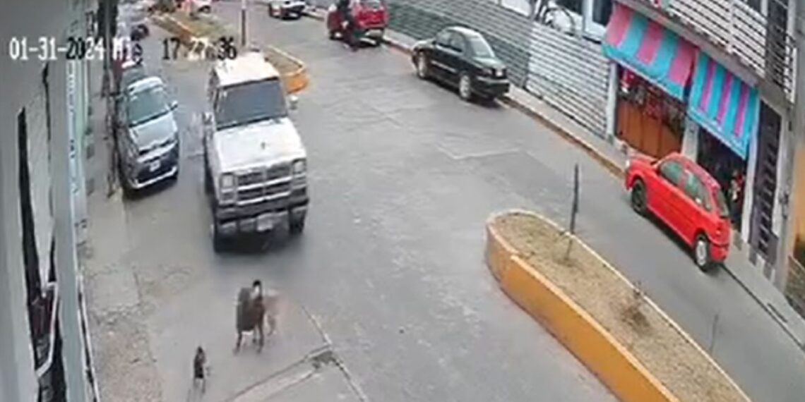 Automovilista arrolla a perrito a propósito en Jilotepec