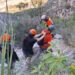 Joven senderista es abandonada por guía de montaña tras caída en La Huasteca