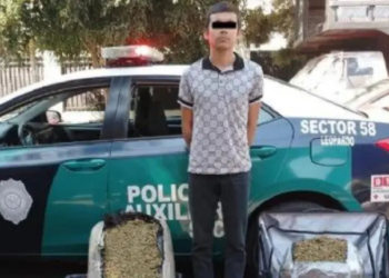Detenido en la TAPO por intentar transportar 20 kilos de marihuana