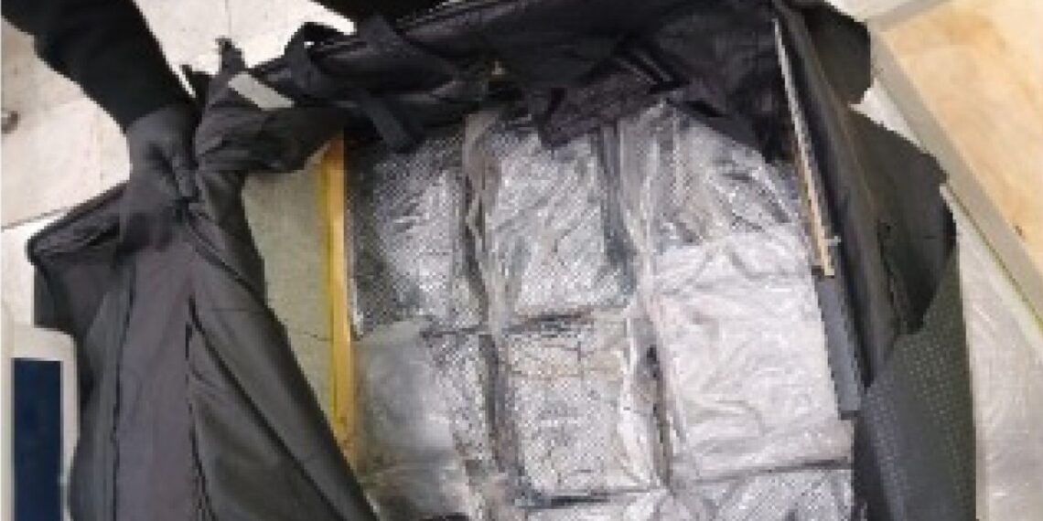 Semar asegura más de 17 kilos de cocaína en dos maletas en el AICM