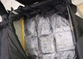 Semar asegura más de 17 kilos de cocaína en dos maletas en el AICM