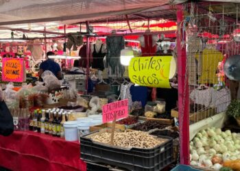 Inflación se mantiene al alza y llega a 4.88% en enero