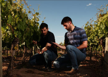 Modernizar la agricultura mexicana, un eslabón clave en el cuidado del agua: Kilimo