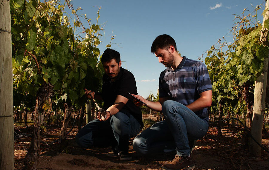Modernizar la agricultura mexicana, un eslabón clave en el cuidado del agua: Kilimo