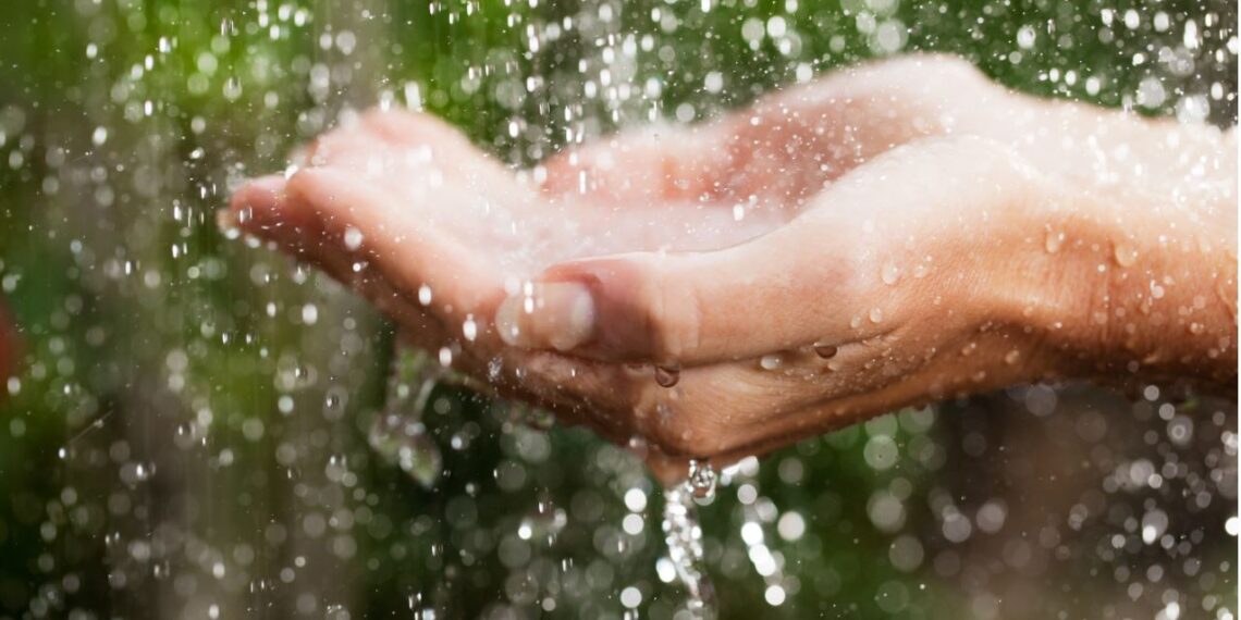 Expertos de Rotoplas hacen un llamado para combatir los problemas de escasez de agua en México