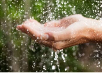 Expertos de Rotoplas hacen un llamado para combatir los problemas de escasez de agua en México