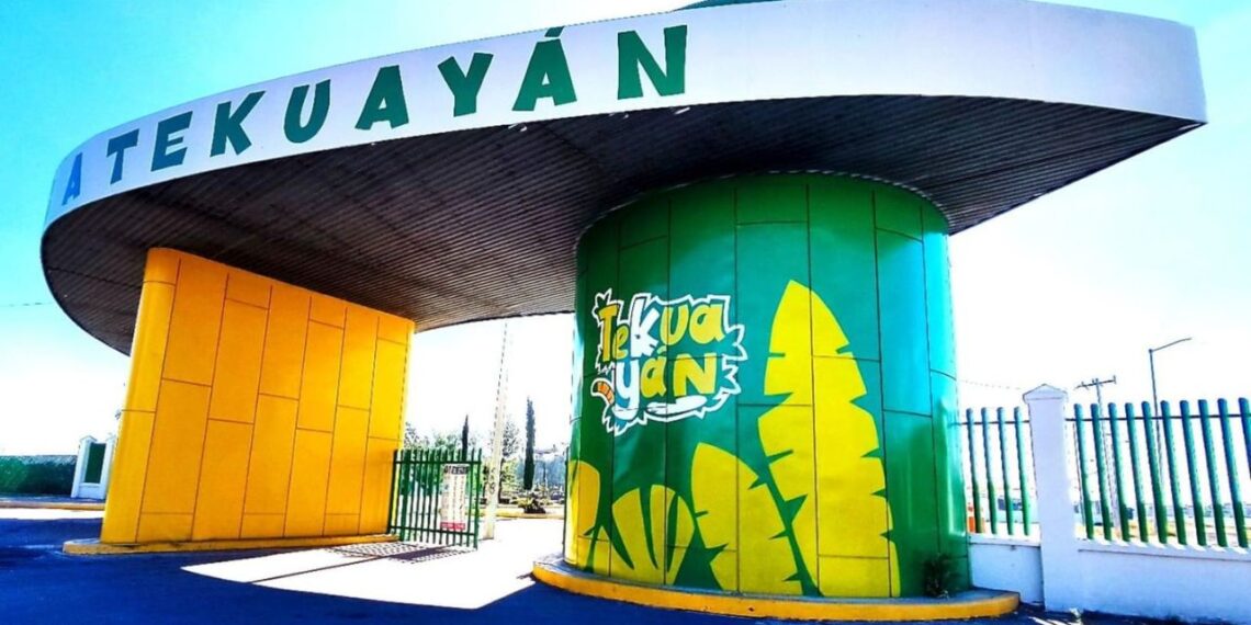 Activistas denuncian sacrificio de perros en Bioparque Tekuayán en Tizayuca