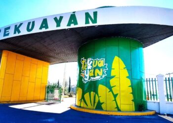 Activistas denuncian sacrificio de perros en Bioparque Tekuayán en Tizayuca