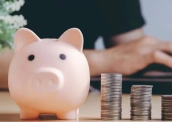 Hasta 26% del presupuesto para gastos hormiga