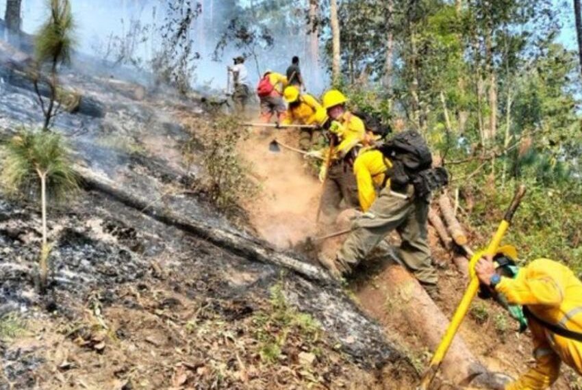 Hay 116 incendios activos en el país; López Obrador confirma 4 muertos