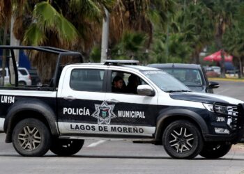 Hallan siete cadáveres con señas de violencia en Lagos de Moreno