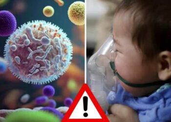 ¿Qué es el virus sincicial respiratorio y cómo afecta a los adultos mayores?