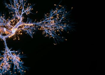 Avances en la investigación del glioblastoma