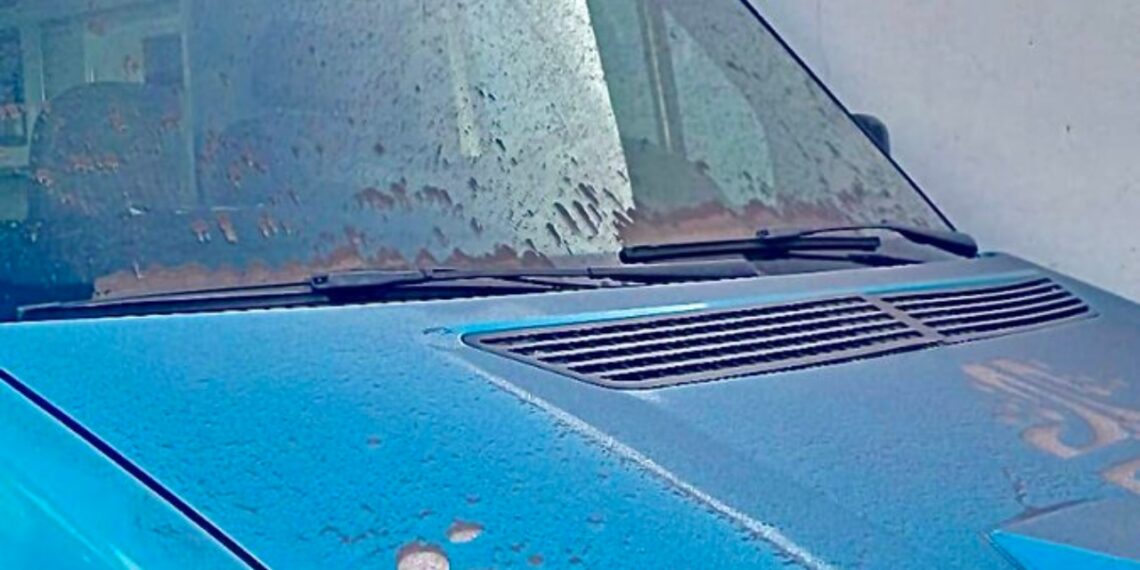 Puebla despierta con caída de ceniza del Popocatépetl