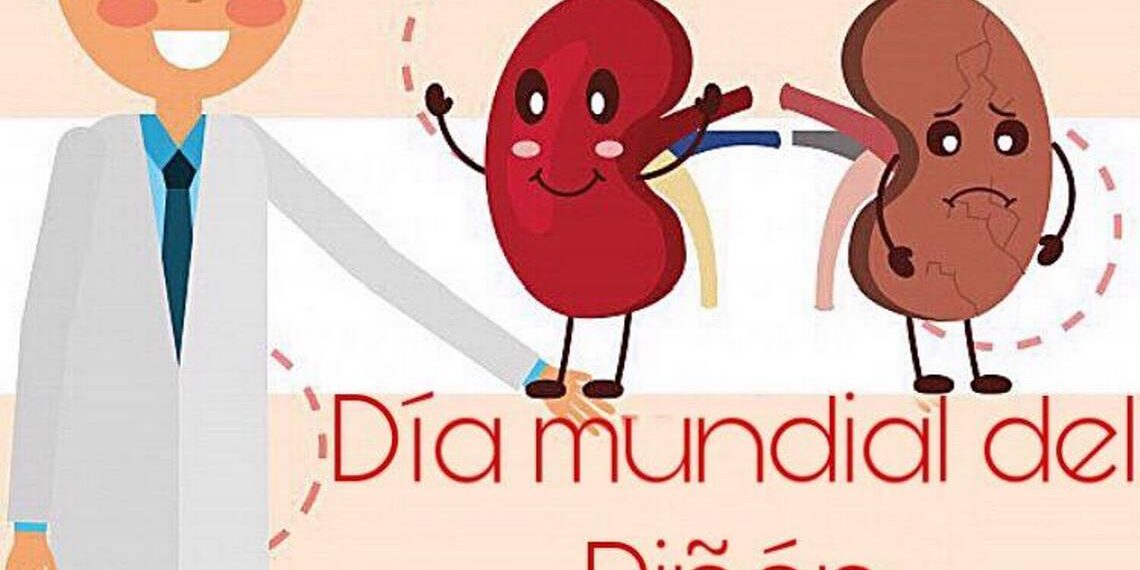 ¿Qué papel juega la Diálisis Peritoneal en la Salud Renal?