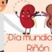 ¿Qué papel juega la Diálisis Peritoneal en la Salud Renal?