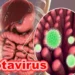 Vacunación, la mejor herramienta para prevenir el rotavirus y sus complicaciones