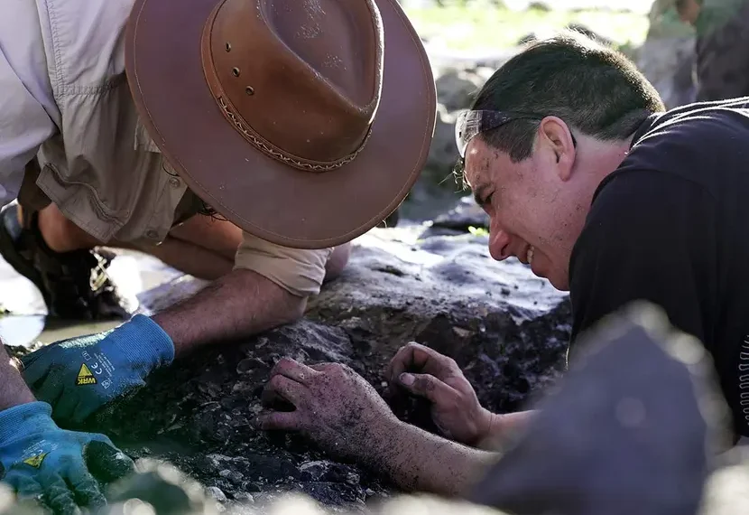 En el día de la tierra, descubren en Chile fósiles marinos de 70 millones de años