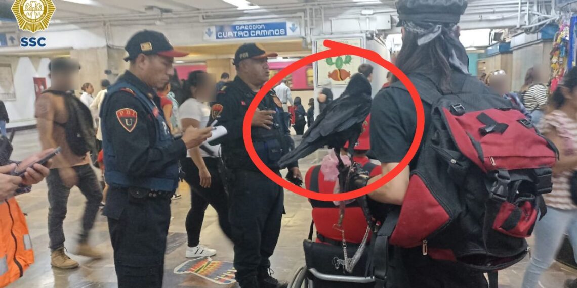 Desalojan a dos usuarios del Metro por transportar un cuervo