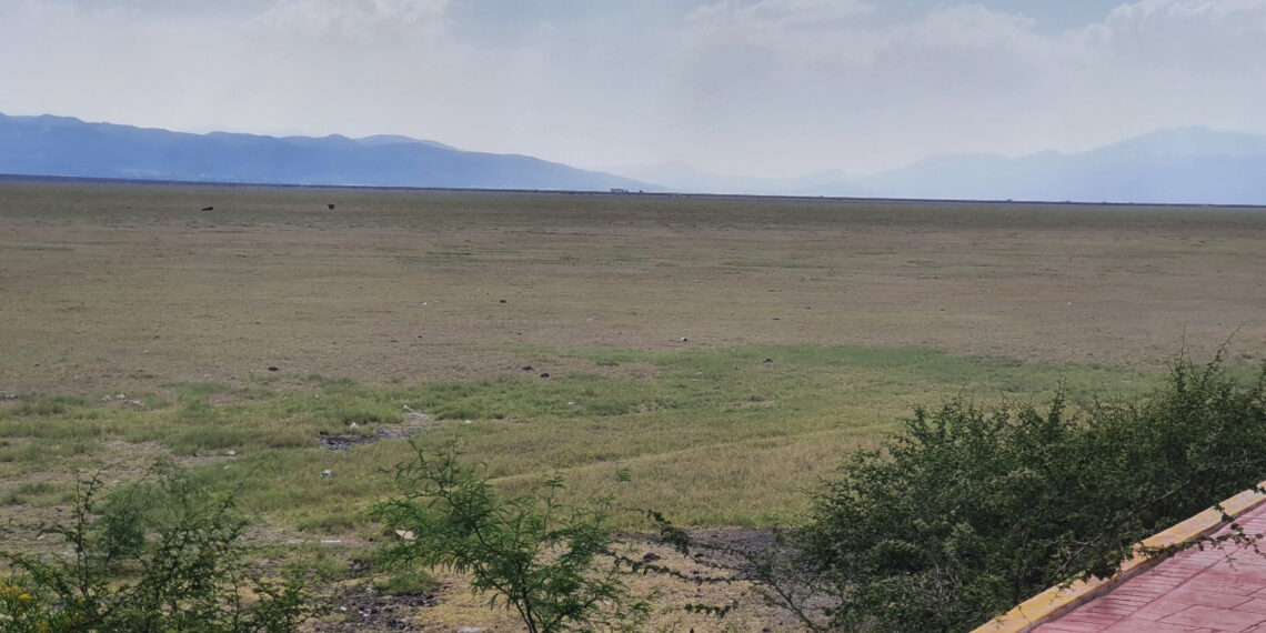 Cuitzeo no está muerto; tiene remedio, como lo tuvo el Lago de Chapala, dicen organizaciones civiles