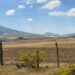 Evitar cambios de uso de suelo y trabajo en unidad para poder producir agua en sus bosques solicitan comuneros de la Meseta Purépecha