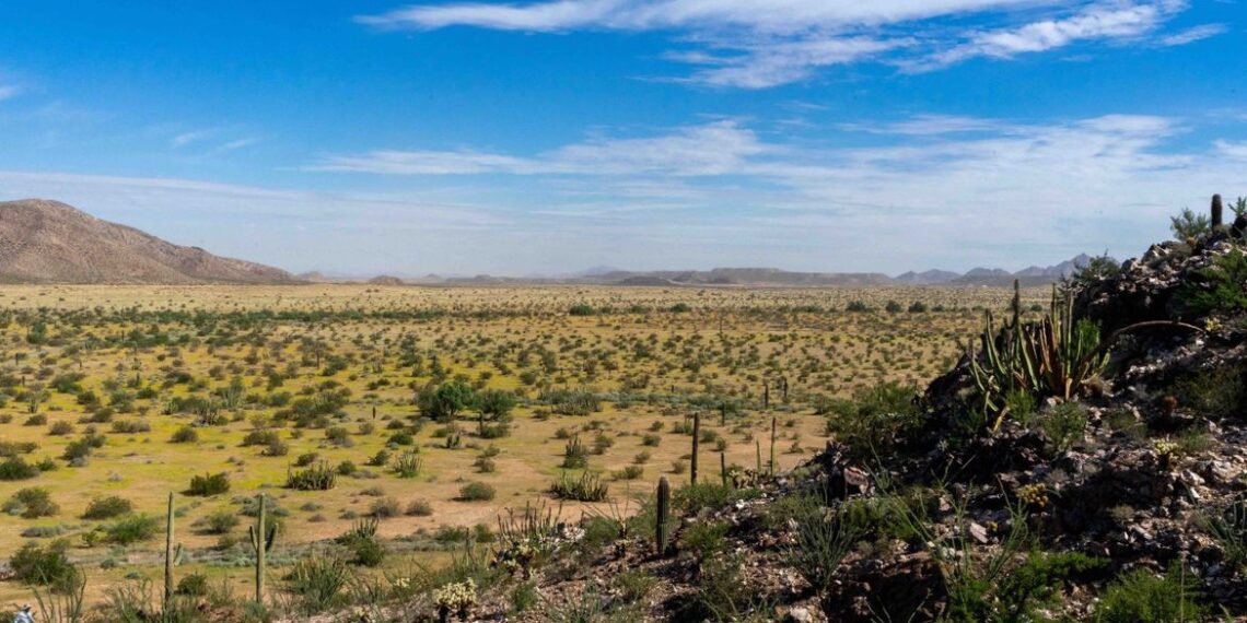 Por despojo y juicio que lleva dos décadas, ejidatarios piden intervención del Senado