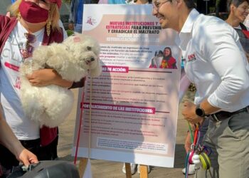 “Hagamos de la Ciudad de México un ejemplo de empatía con los animales”: Ulises Labrador