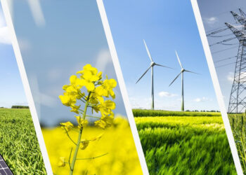 Teva se compromete a utilizar energía renovable al 100% para 2035